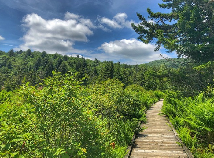 Cranberry Glades, United States